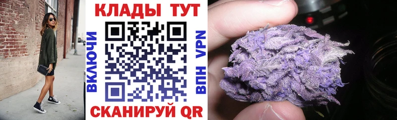 Купить закладку Альфа ПВП  Псилоцибиновые грибы  Канабис  COCAIN  Меф мяу мяу  Жердевка