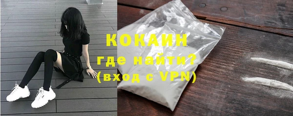 гашик Инта