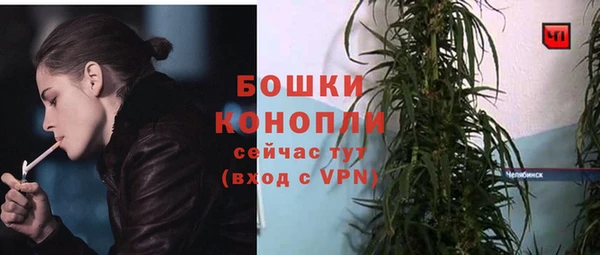 гашик Инта