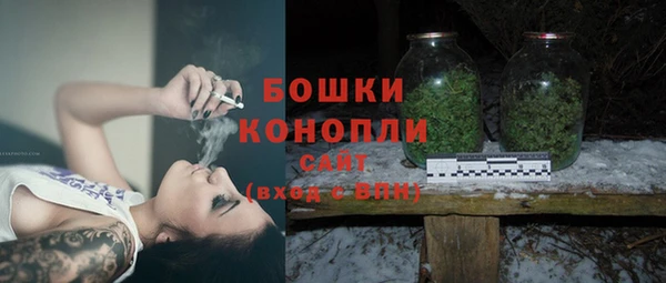 гашик Инта