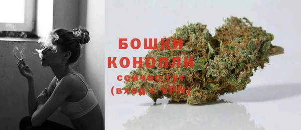 ALPHA PVP Инсар
