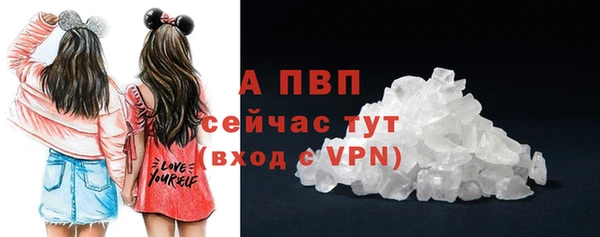 гашик Инта