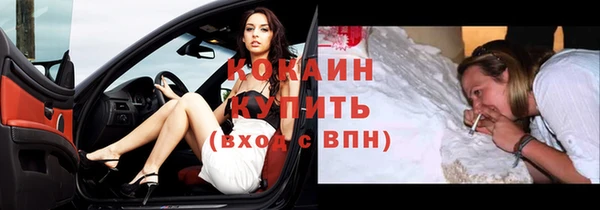 гашик Инта