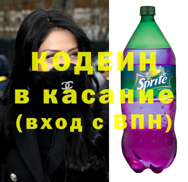 гашик Инта