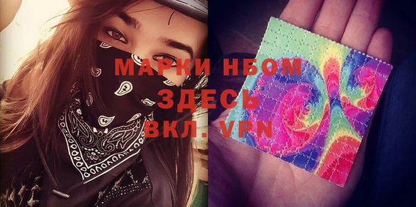 гашик Инта
