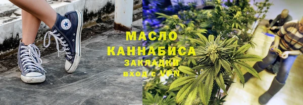 гашик Инта