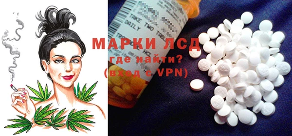 гашик Инта