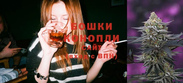 гашик Инта
