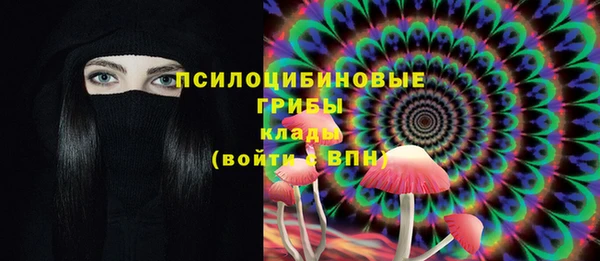 гашик Инта